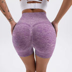 High Waist Sport Yoga Shorts