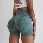 High Waist Sport Yoga Shorts